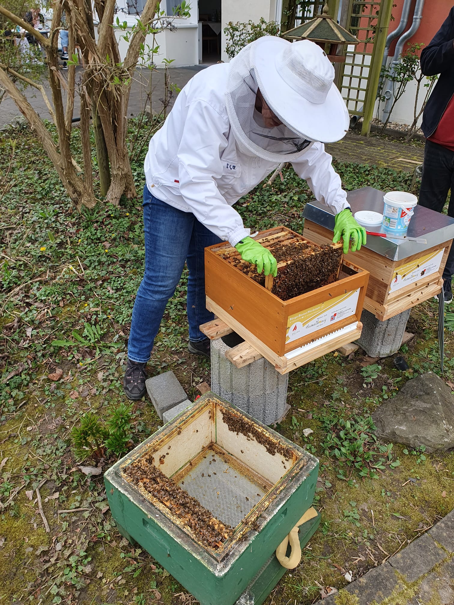 Aufbau des Bienenstandes im Wöllner-Stift