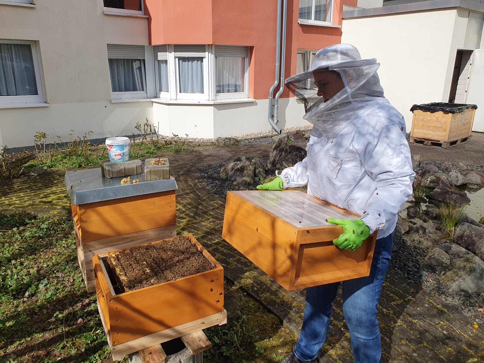 Aufbau der Bienenstöcke