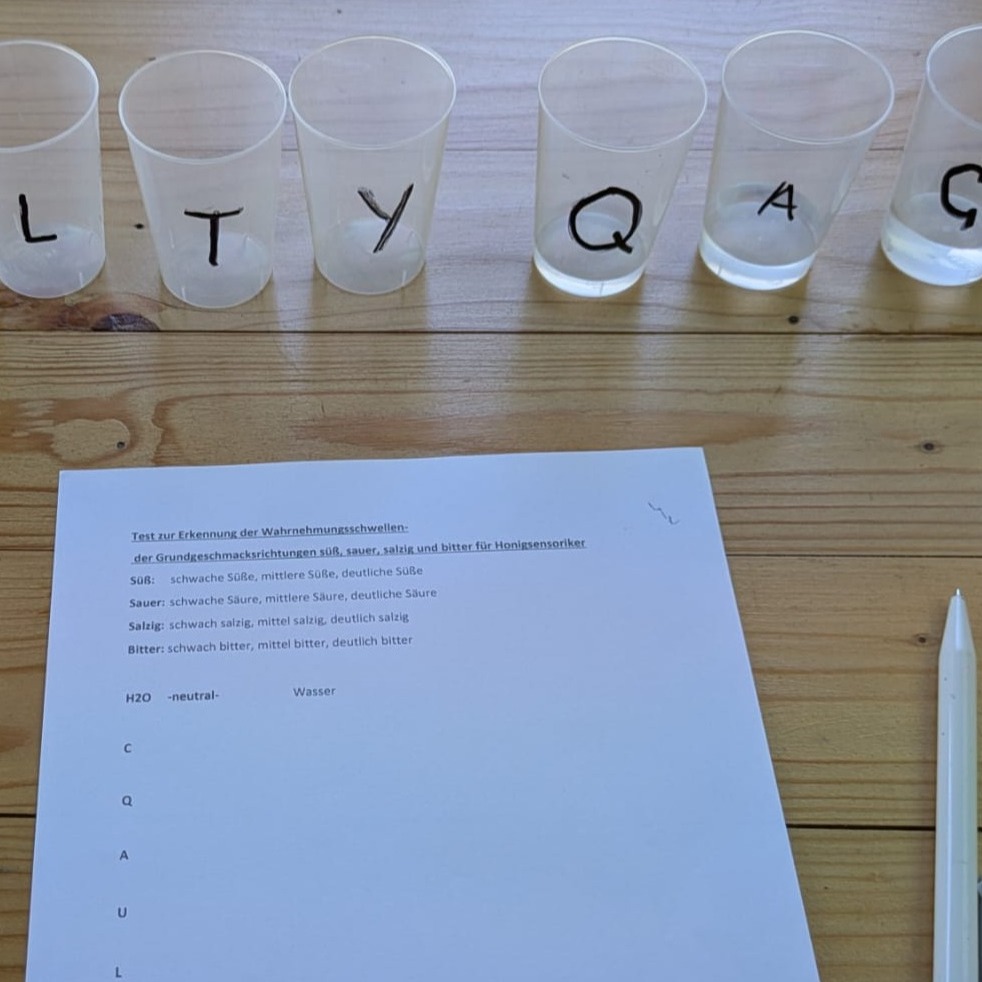 Geschmack einordnen