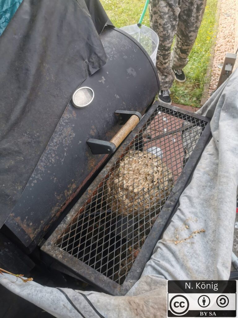 Nest am Grill